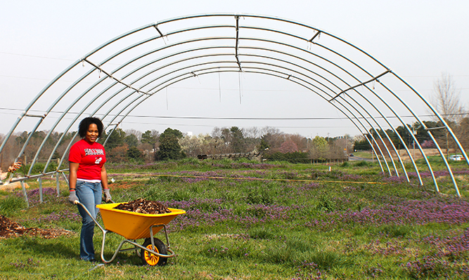 student volunteering for PILC service day at UGArden