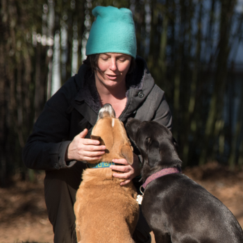 lisa milot pic with her two dogs