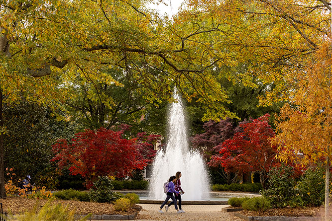 herty fountain in the fall