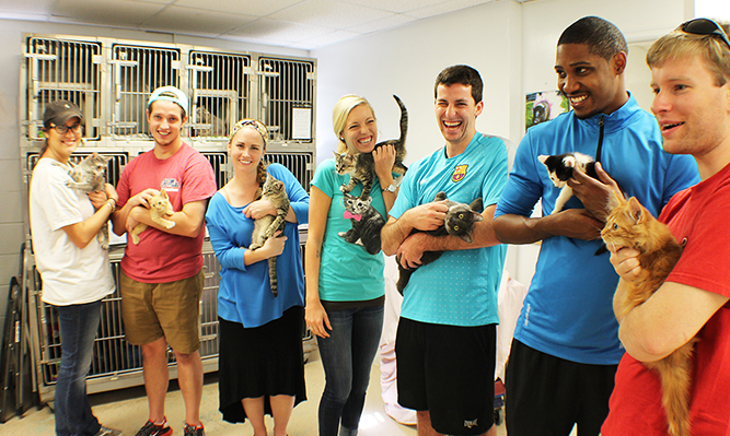 students volunteering for PILC service day at cat shelter