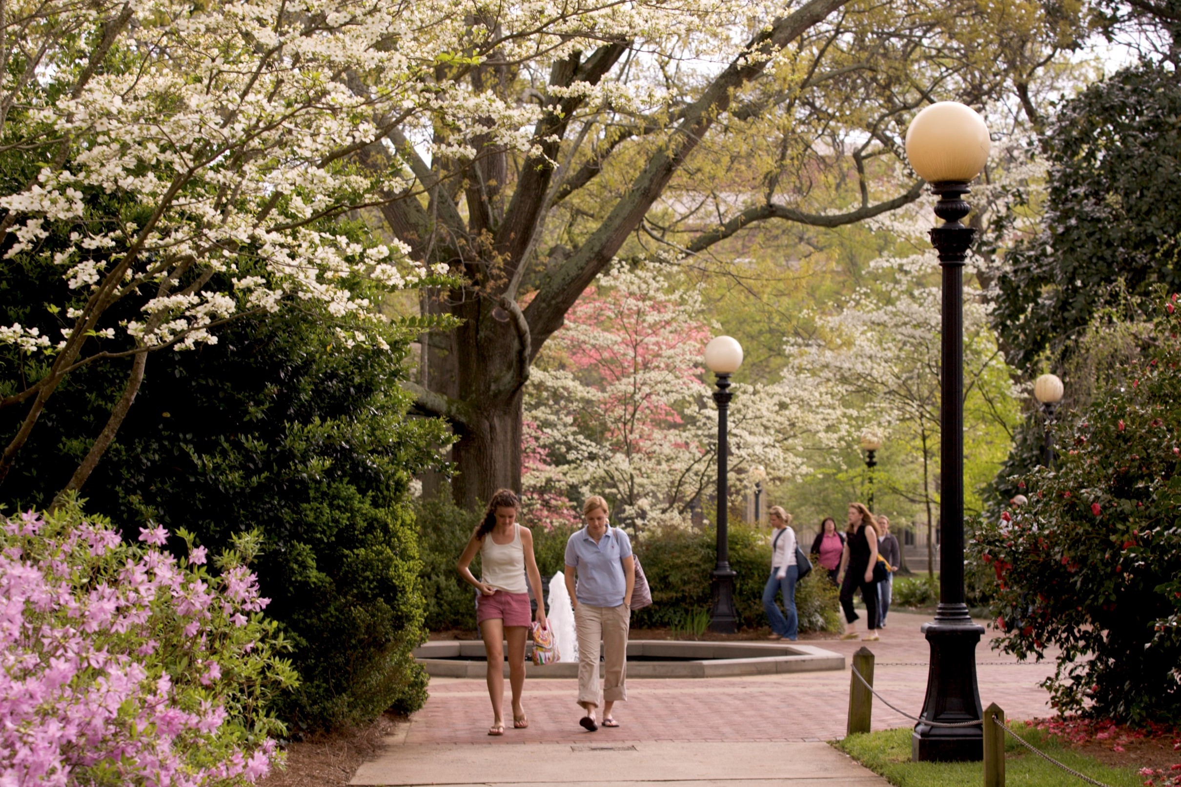 uga campus