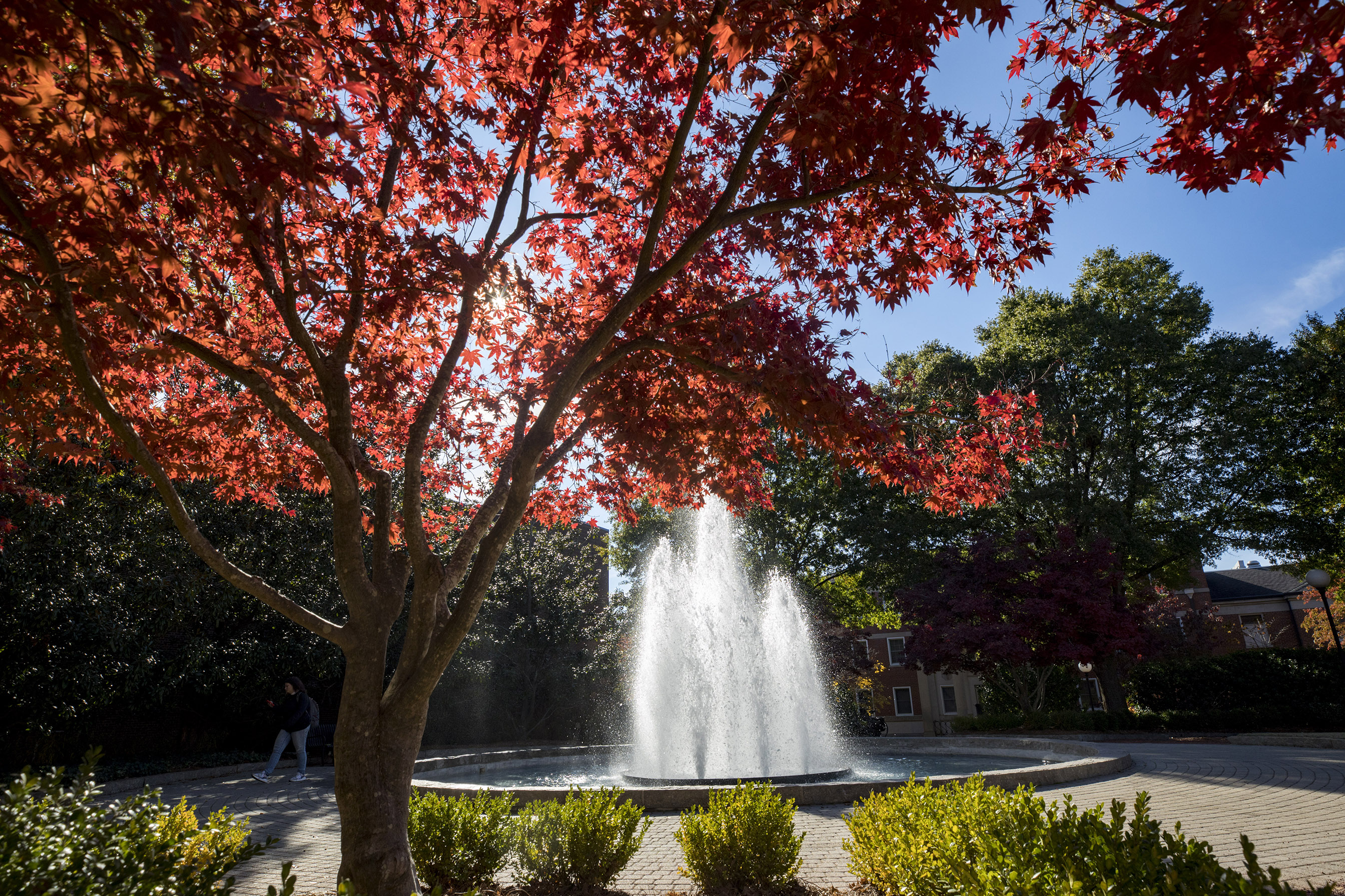 herty fountain