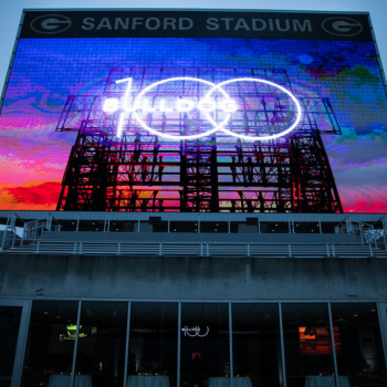 Bulldog 100 graphic