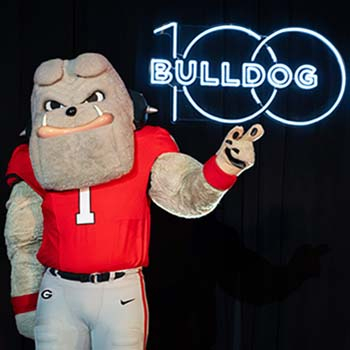 hairy dog and bulldog 100 graphic